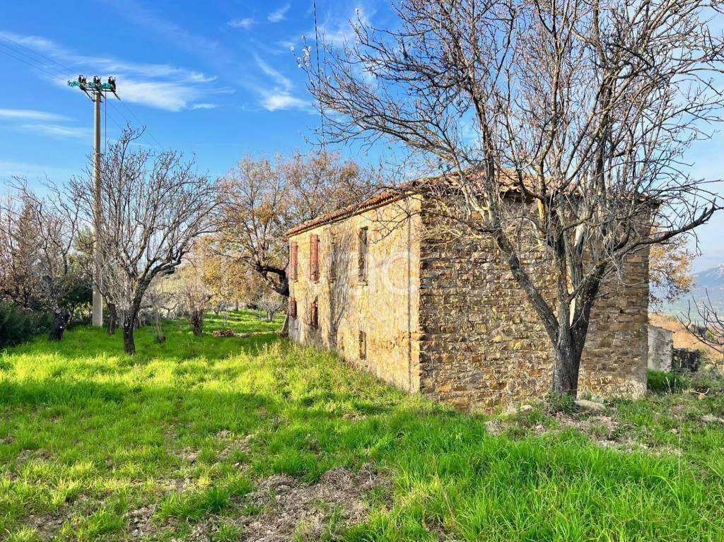 immagine annuncio 3 di 14