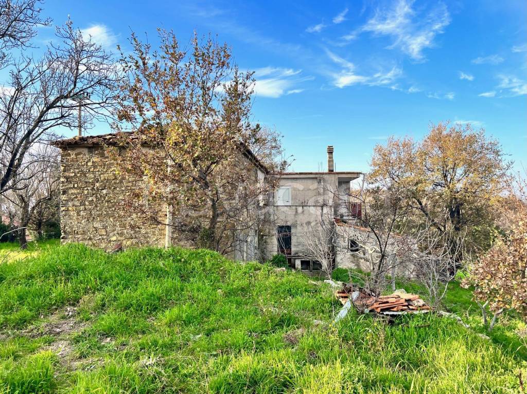 immagine annuncio 4 di 14