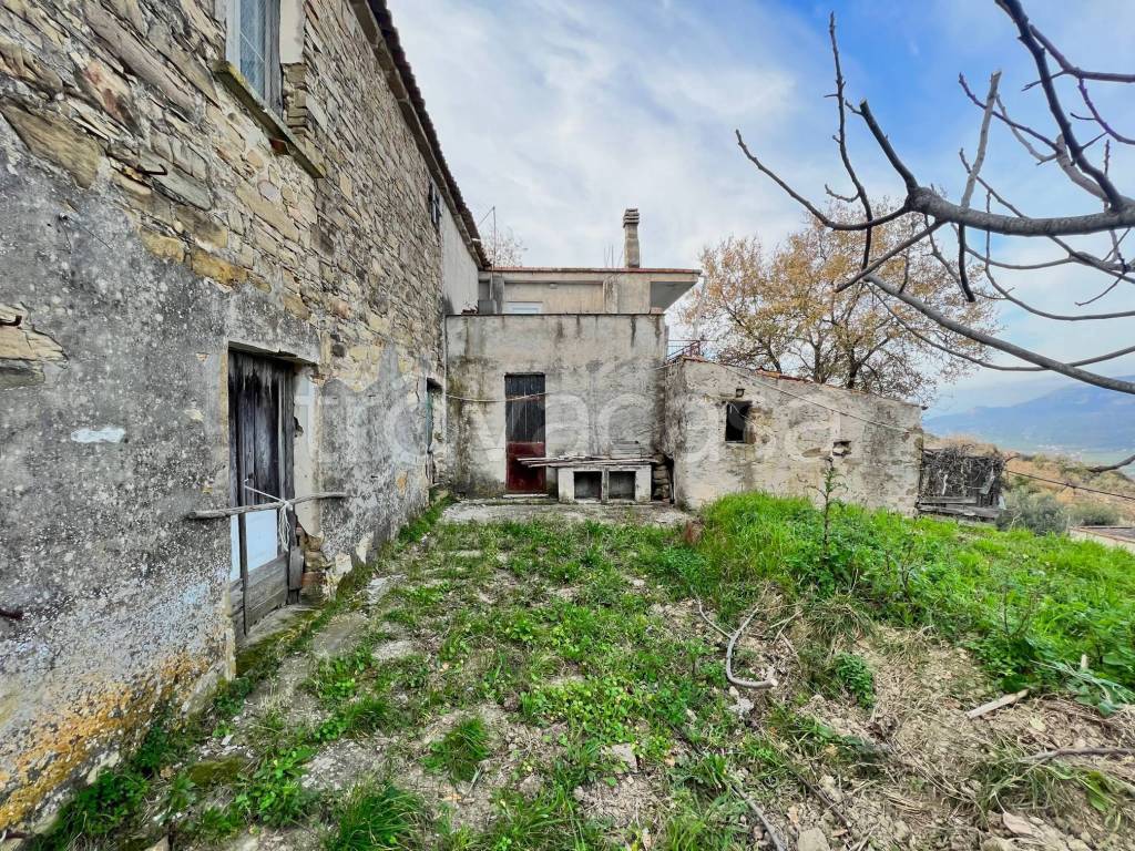 immagine annuncio 5 di 14