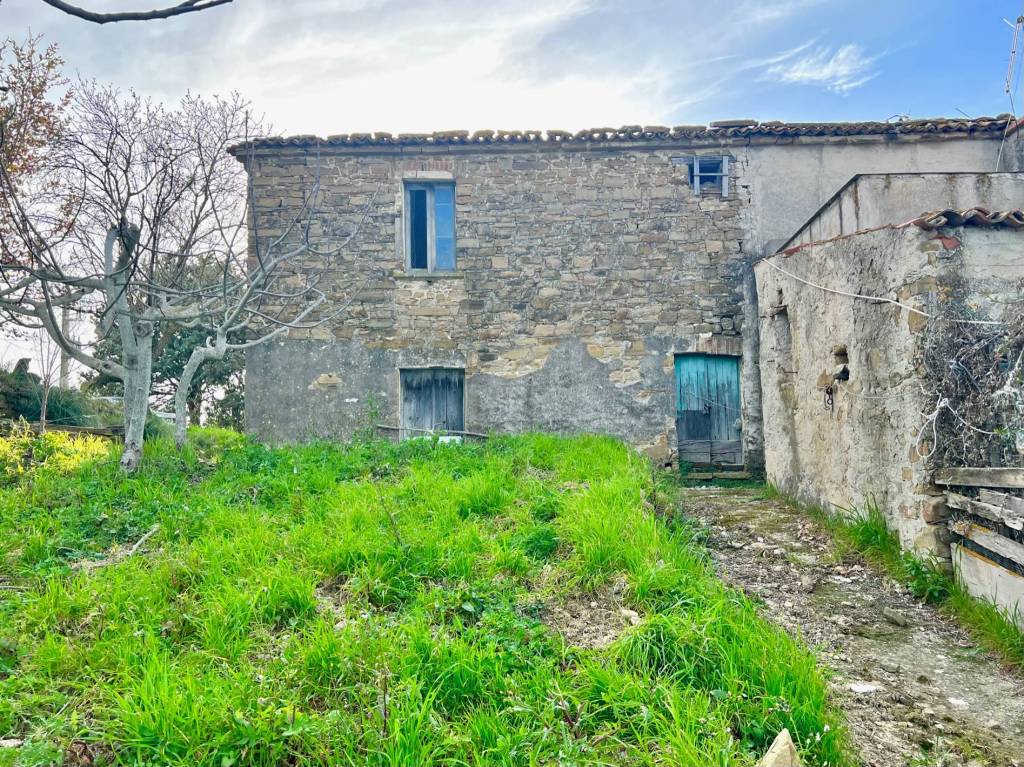 immagine annuncio 6 di 14