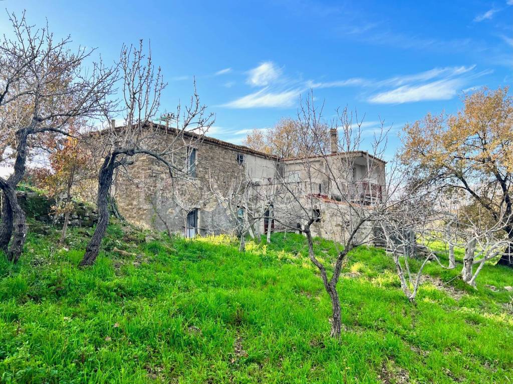 immagine annuncio 7 di 14