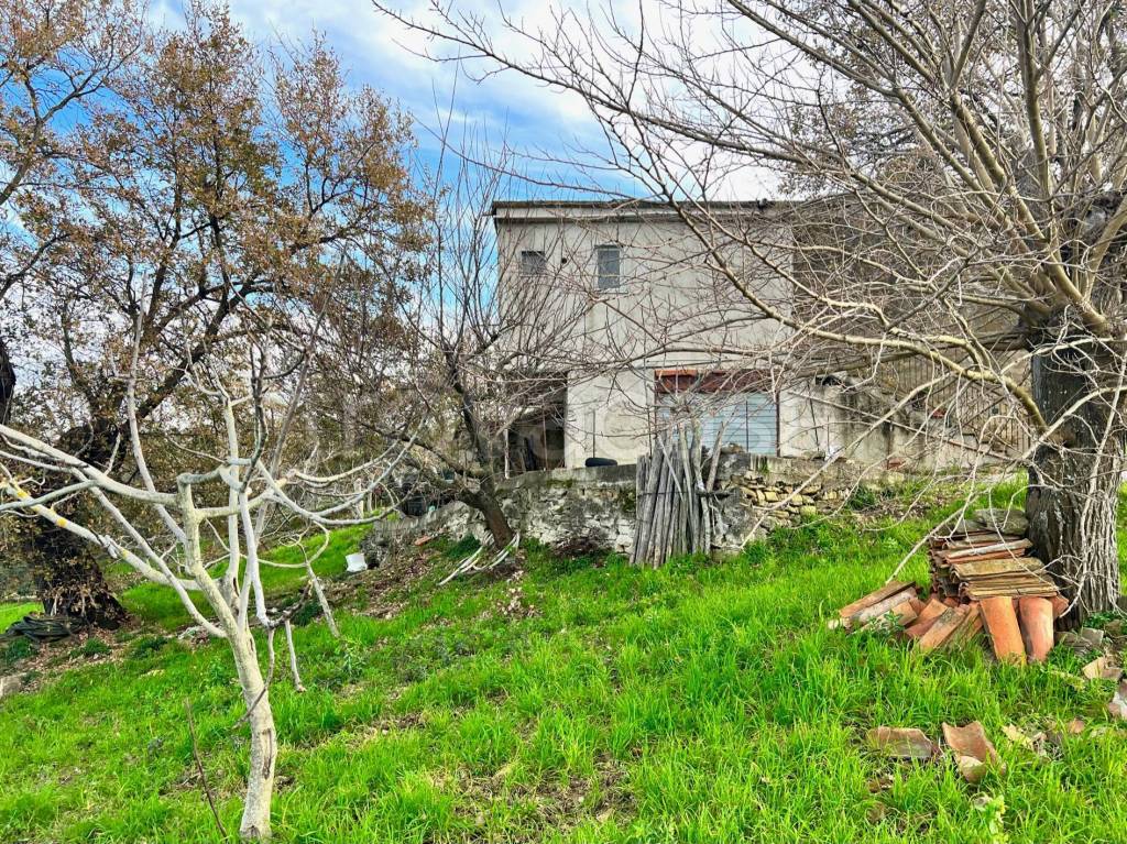 immagine annuncio 8 di 14