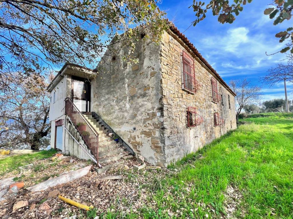 immagine annuncio 9 di 14