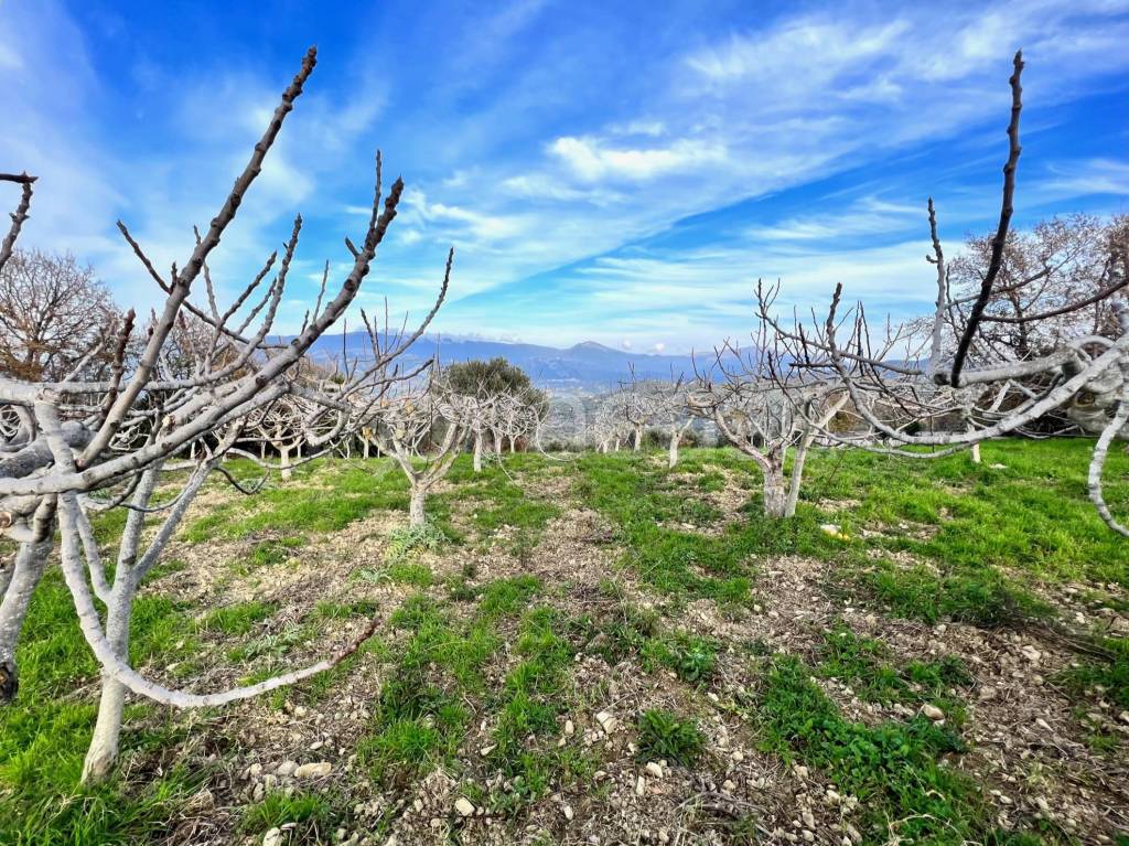 immagine annuncio 10 di 14