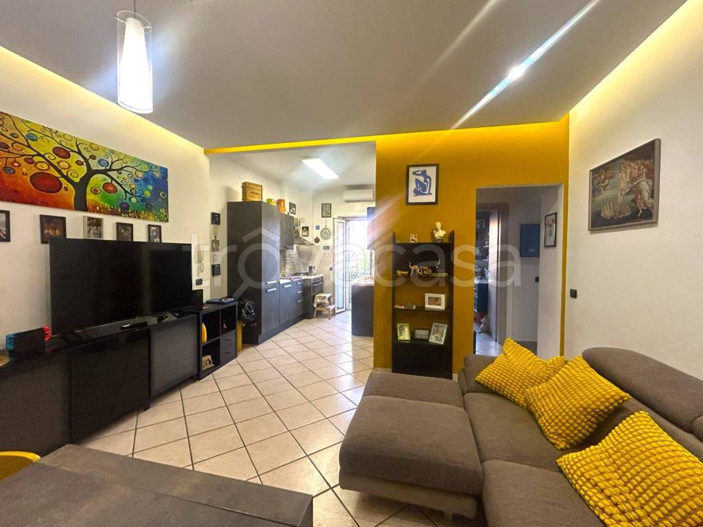 immagine annuncio 12 di 15