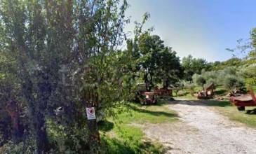 immagine annuncio 4 di 12