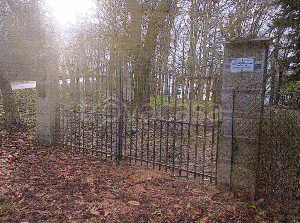 immagine annuncio 5 di 11