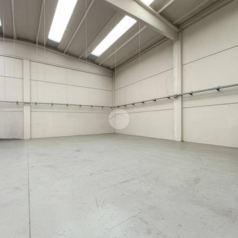 immagine annuncio 3 di 8