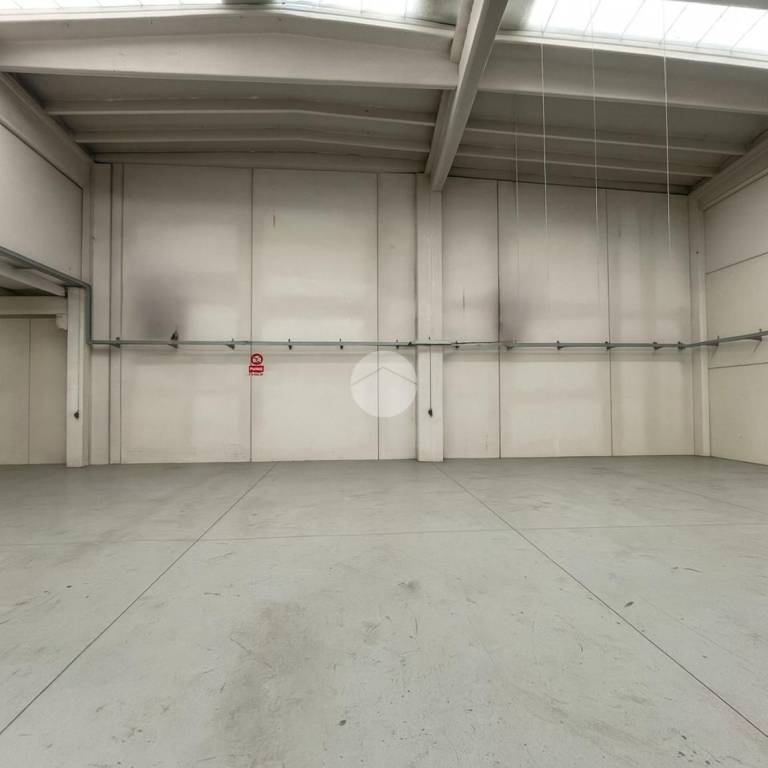 immagine annuncio 4 di 8