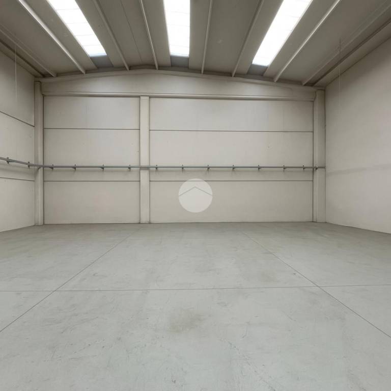 immagine annuncio 5 di 8