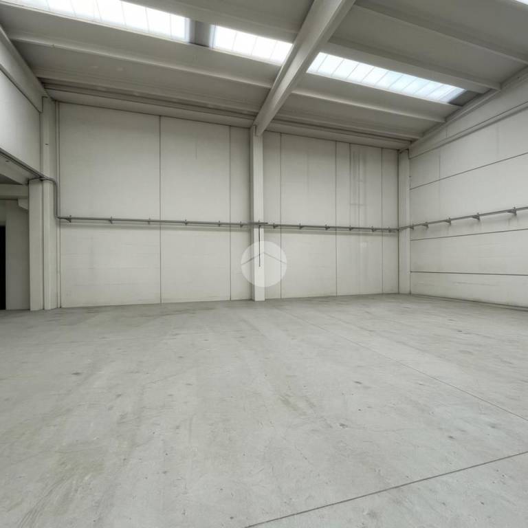 immagine annuncio 6 di 8