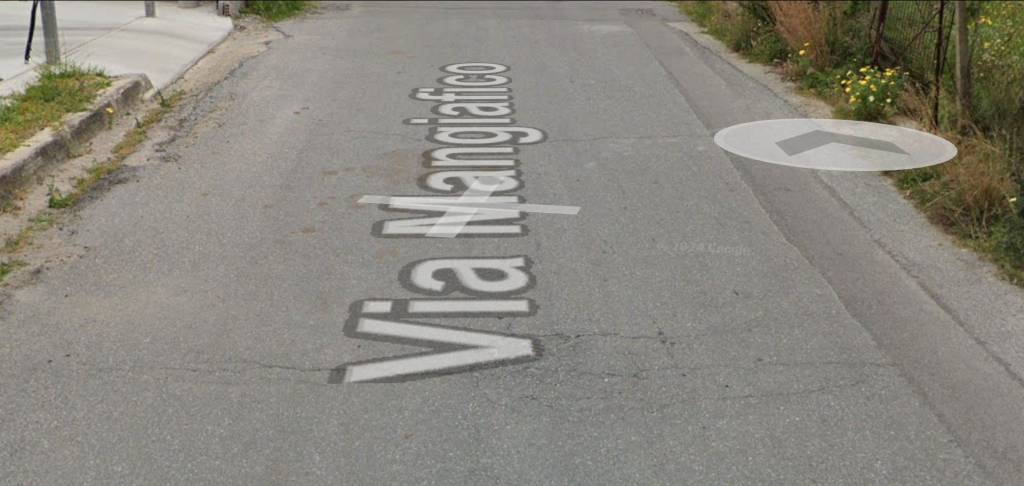 immagine annuncio 3 di 13