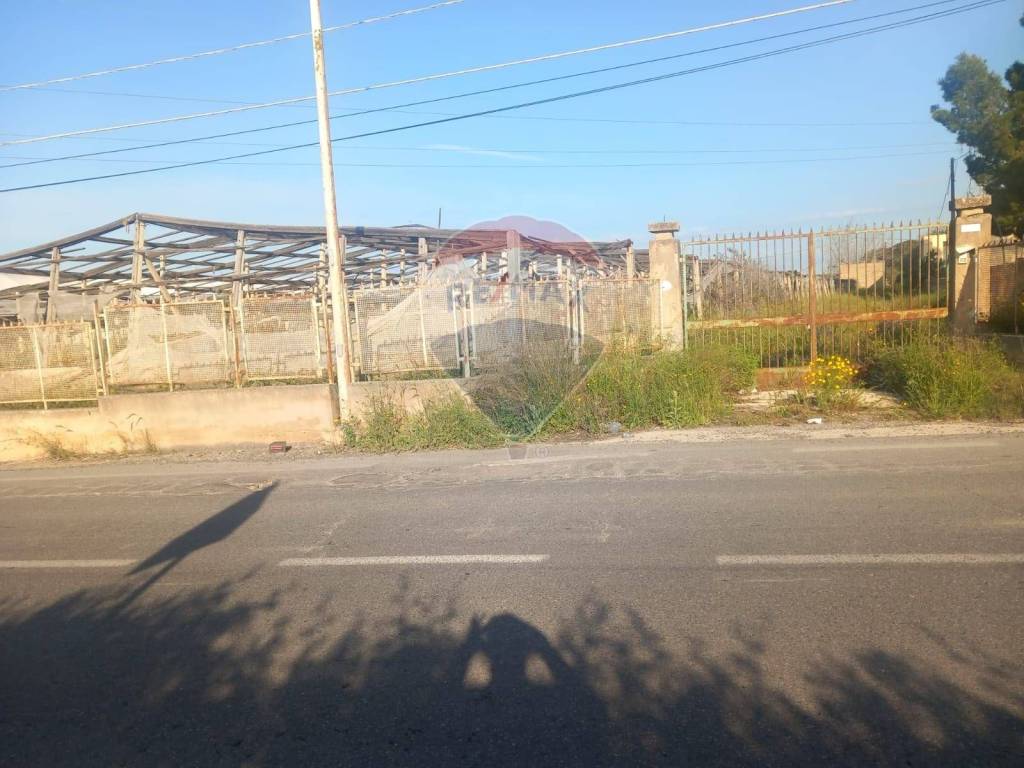 immagine annuncio 1 di 8