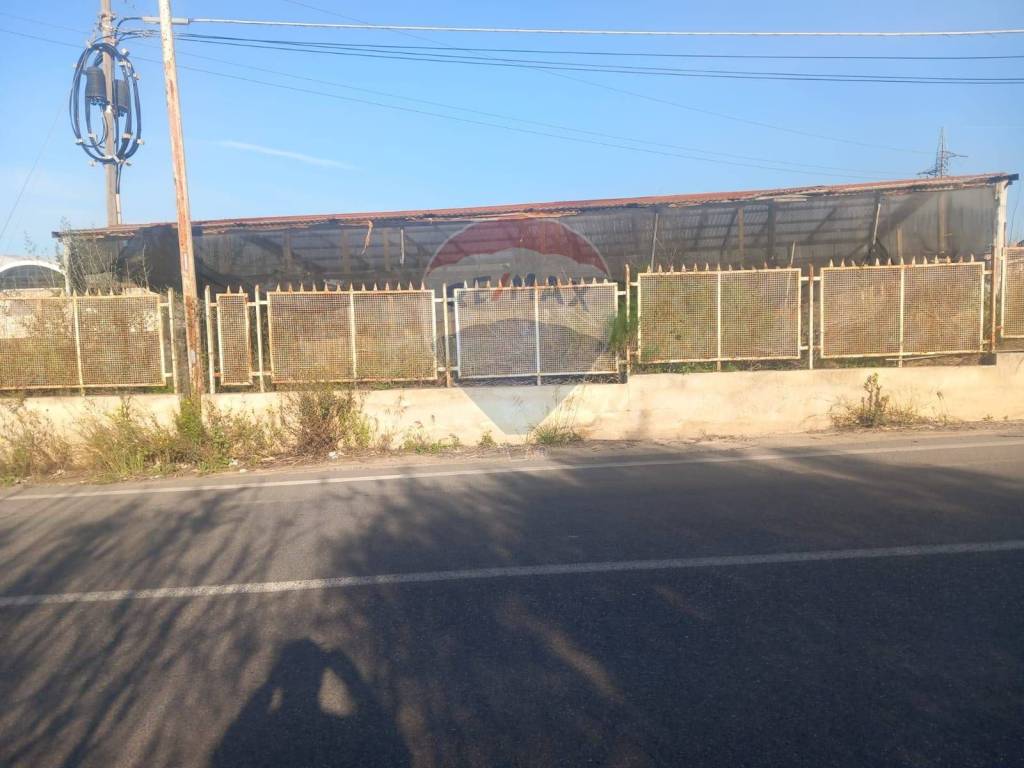 immagine annuncio 2 di 8