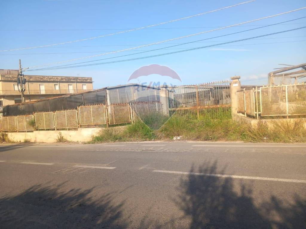 immagine annuncio 3 di 8