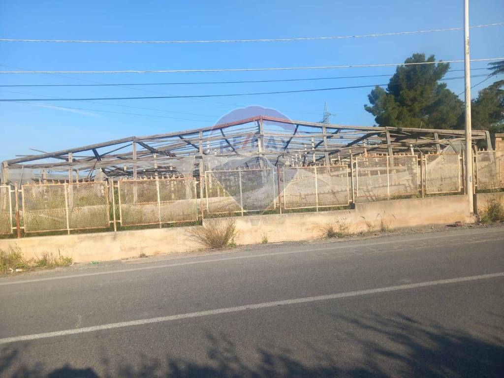 immagine annuncio 5 di 8