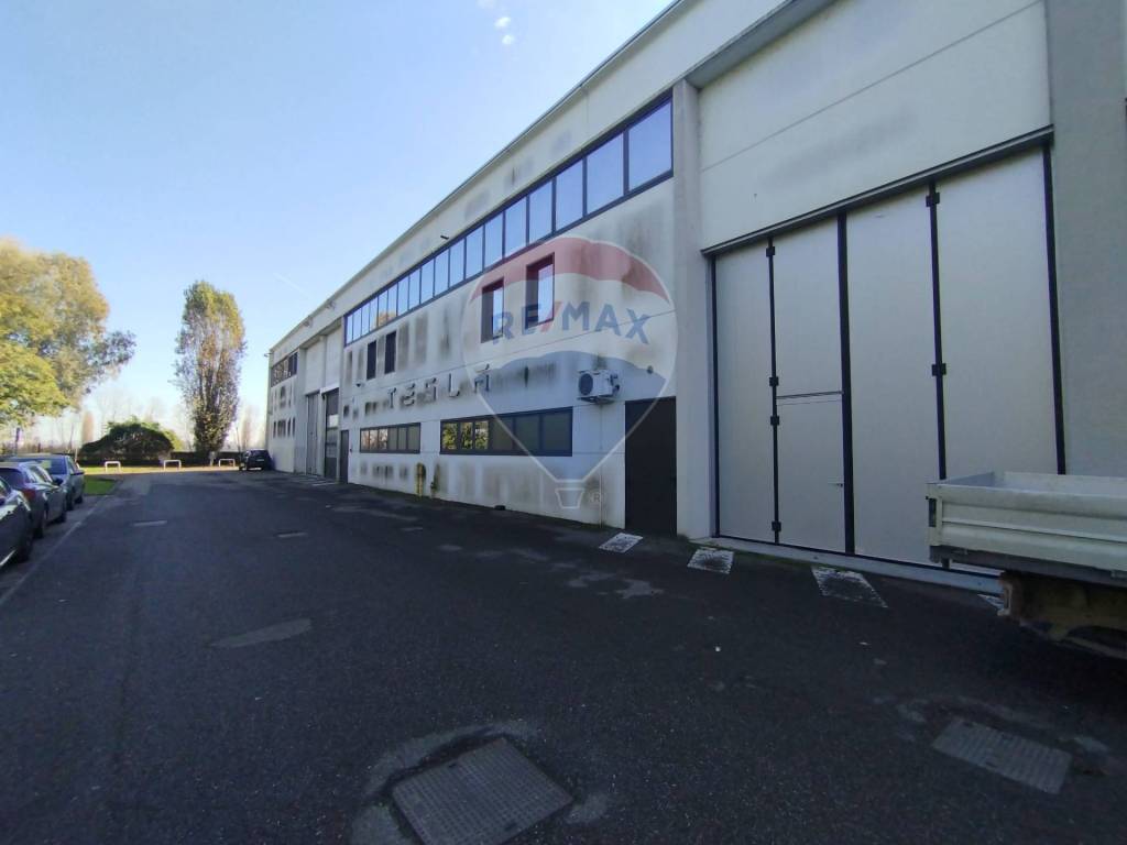 immagine annuncio 4 di 15