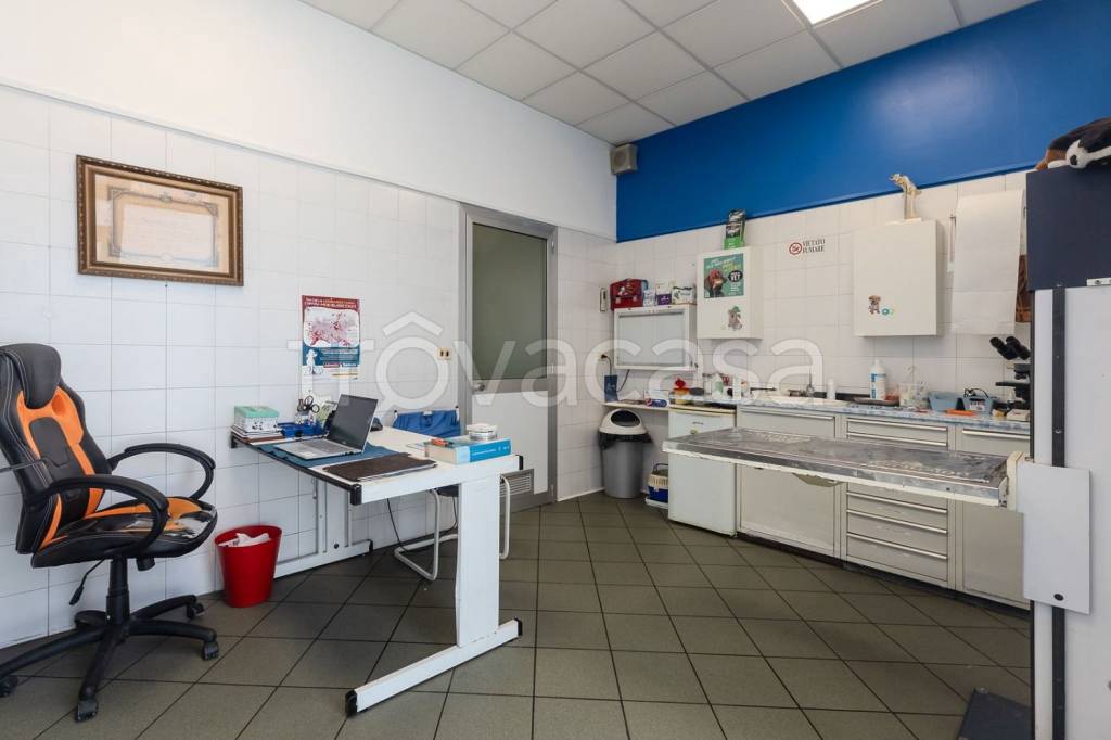 immagine annuncio 9 di 15