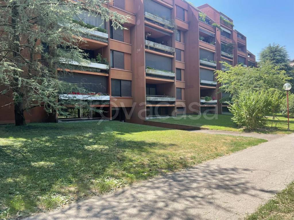 immagine annuncio 5 di 11