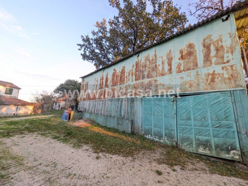 immagine annuncio 1 di 8