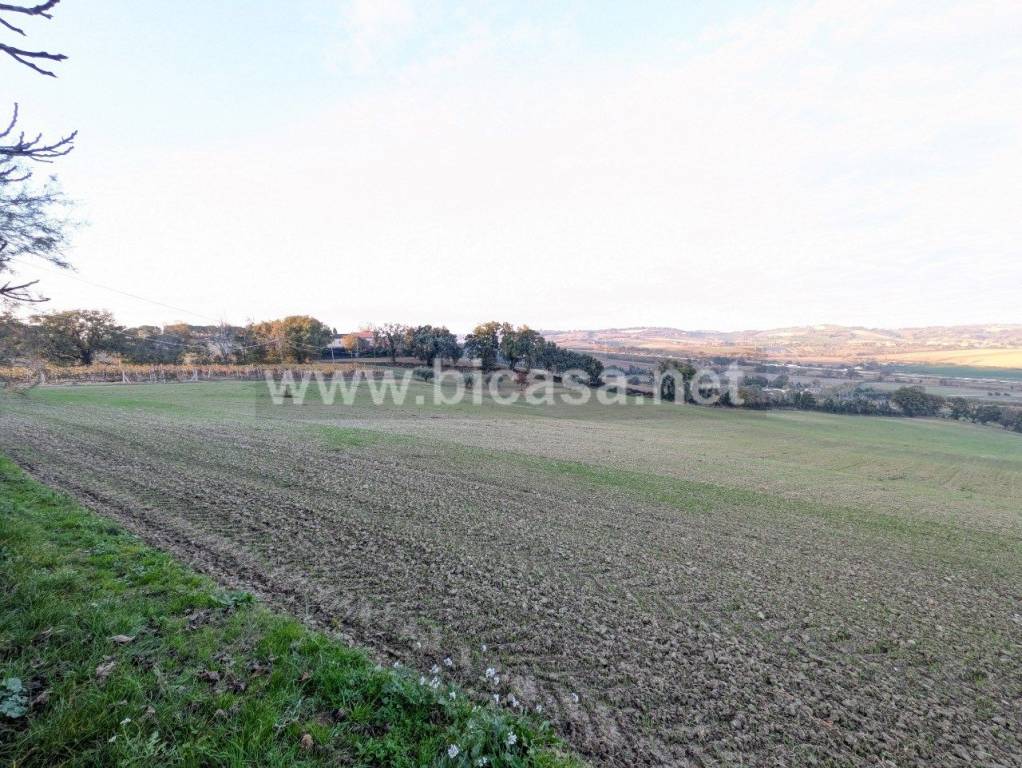 immagine annuncio 3 di 8