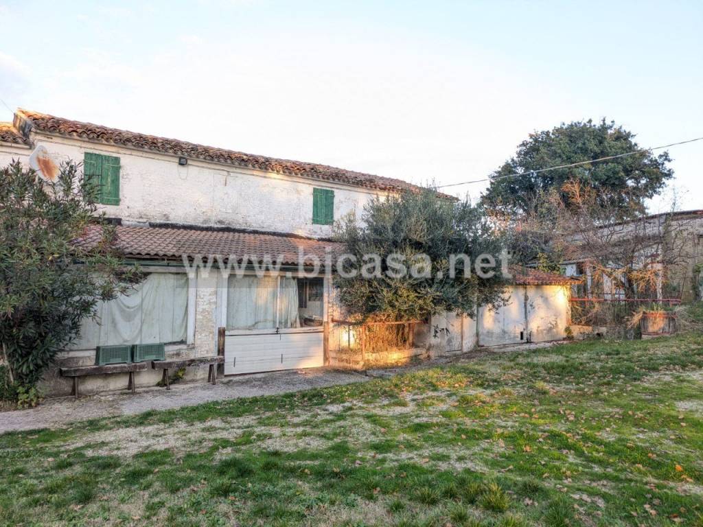 immagine annuncio 4 di 8