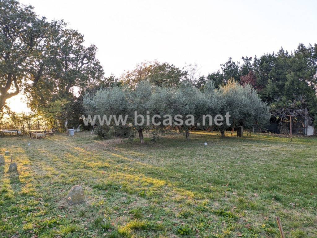 immagine annuncio 5 di 8