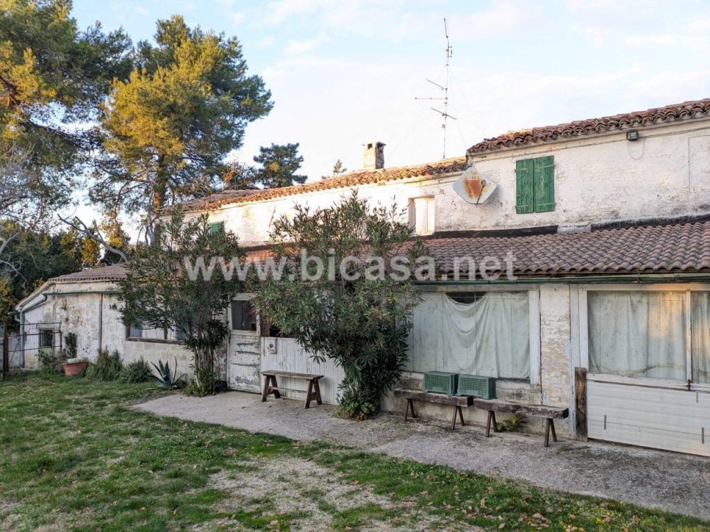 immagine annuncio 6 di 8