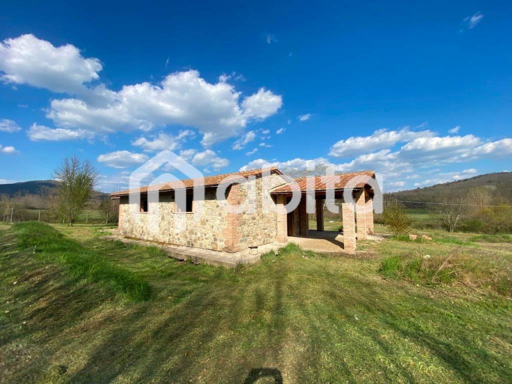 immagine annuncio 5 di 11