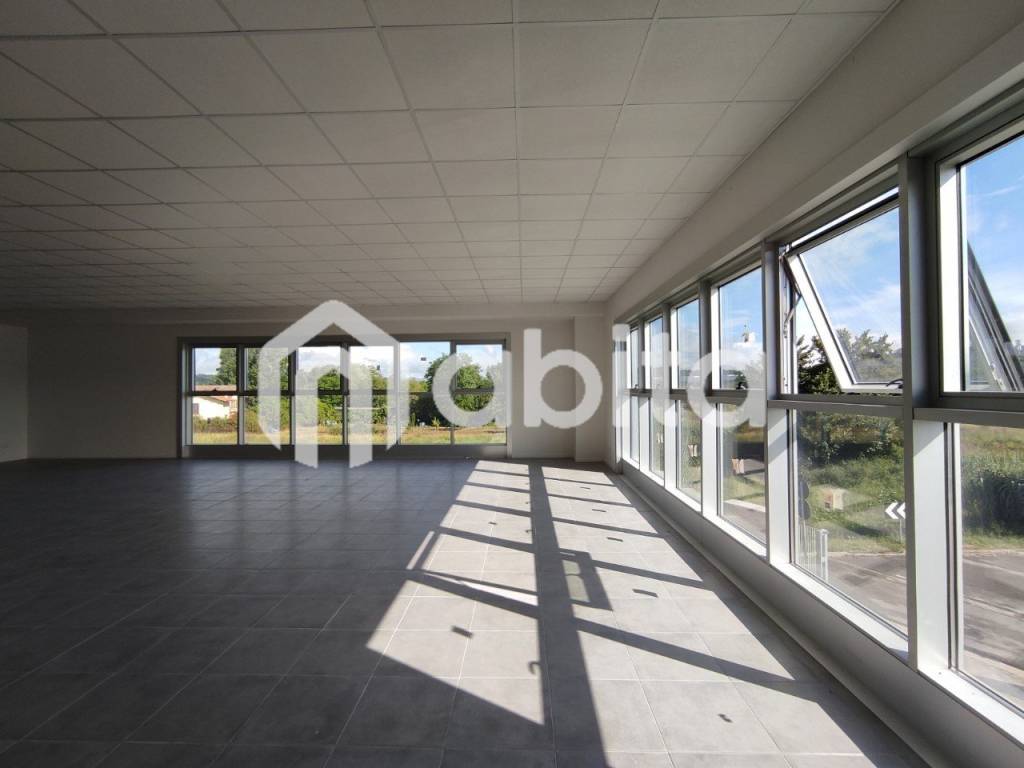 immagine annuncio 6 di 14