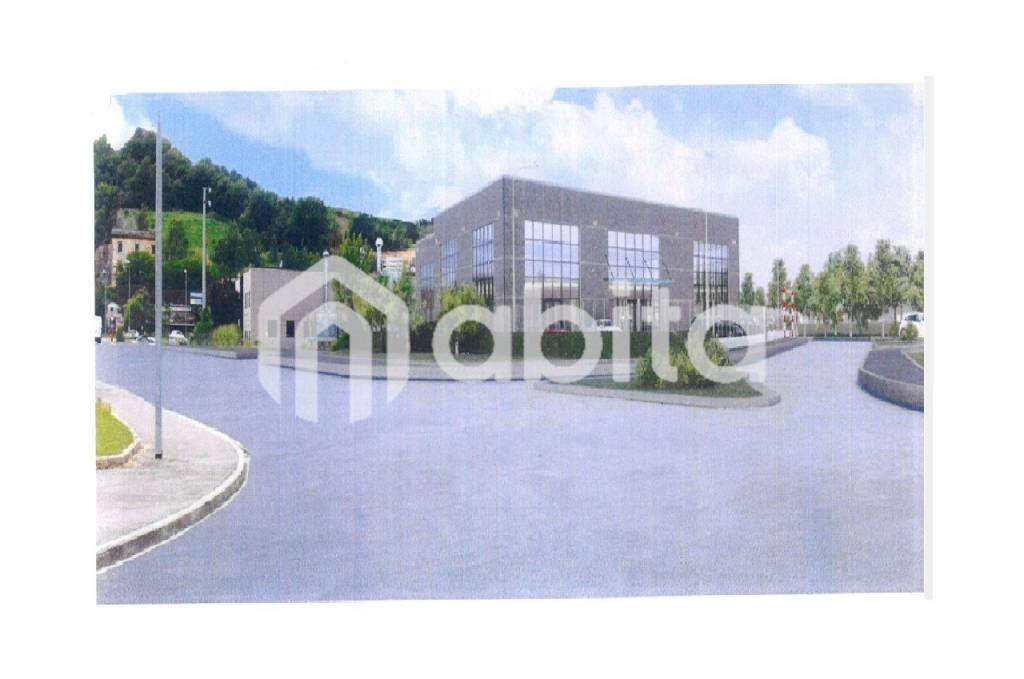 immagine annuncio 12 di 14