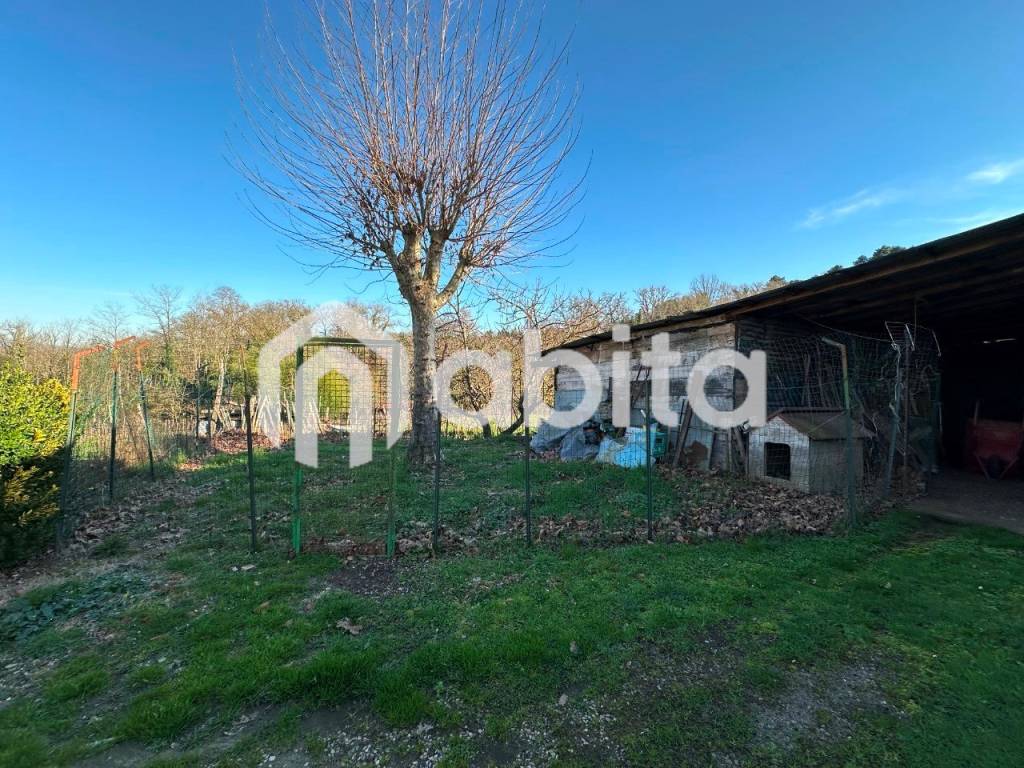 immagine annuncio 10 di 15