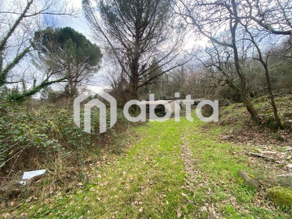 immagine annuncio 5 di 7