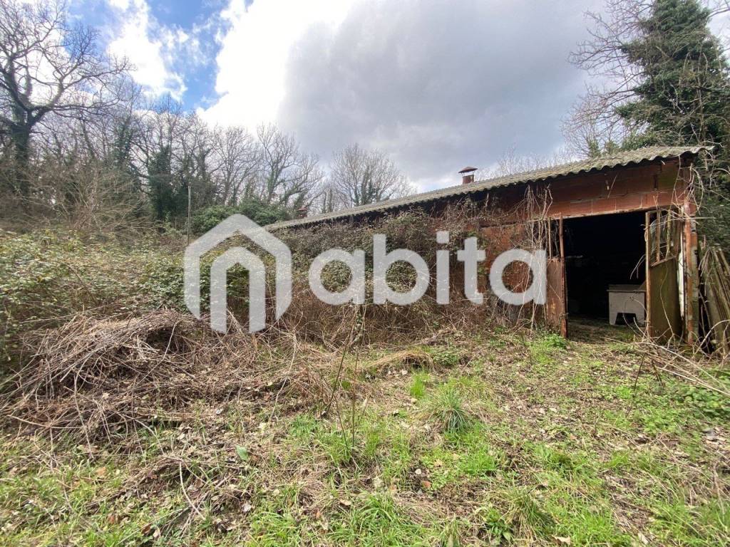 immagine annuncio 6 di 7