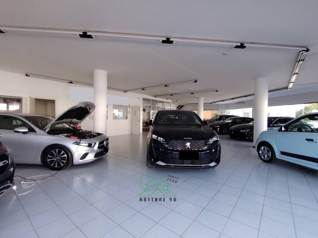 immagine annuncio 12 di 15