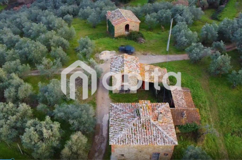 immagine annuncio 4 di 11