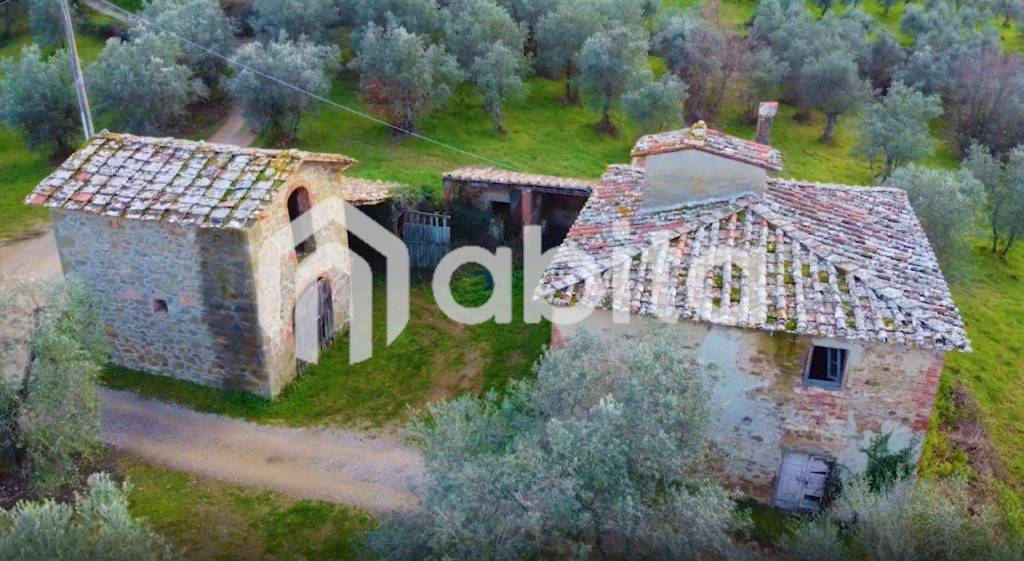 immagine annuncio 6 di 11