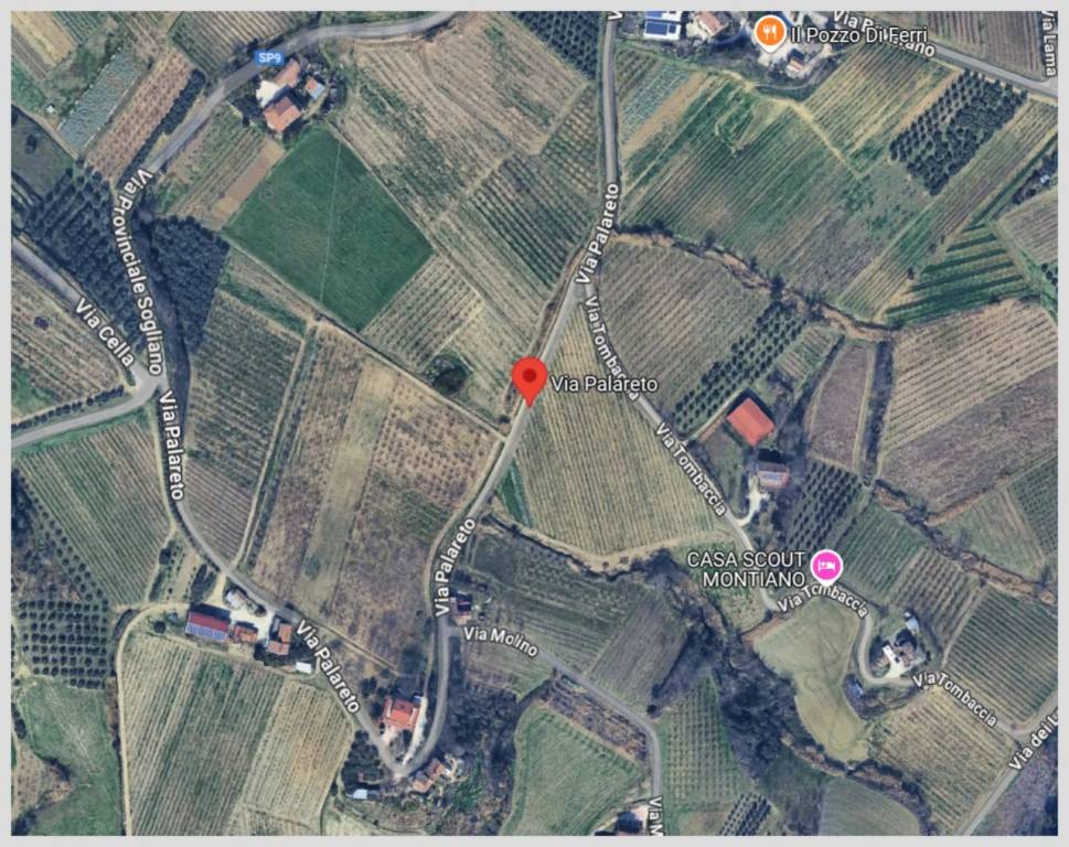 immagine annuncio 13 di 15