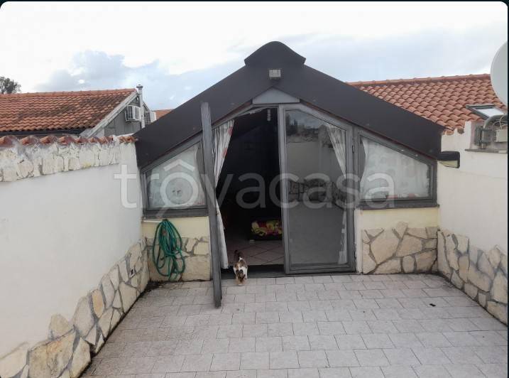 immagine annuncio 2 di 12