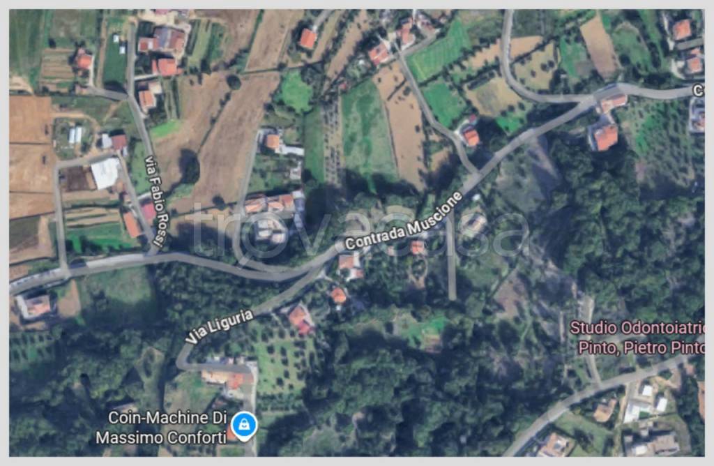 immagine annuncio 13 di 15