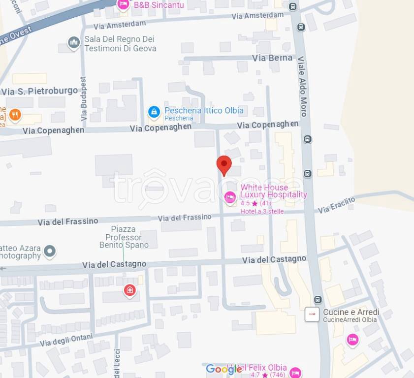 immagine annuncio 4 di 15