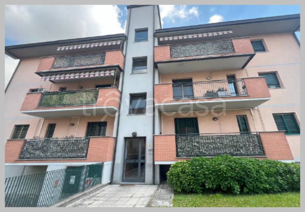 immagine annuncio 11 di 15