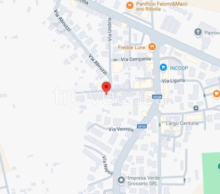 immagine annuncio 3 di 15