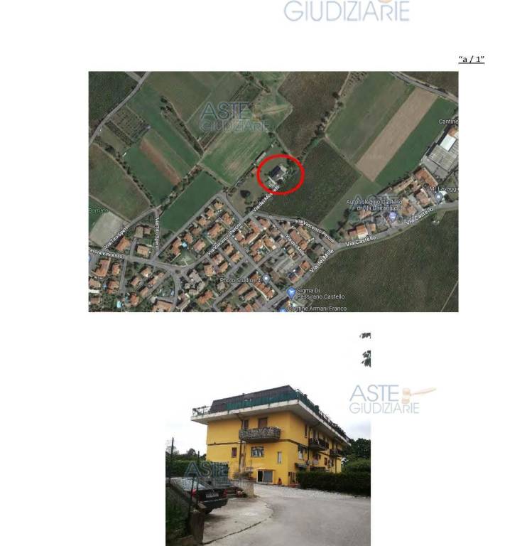 immagine annuncio 11 di 15