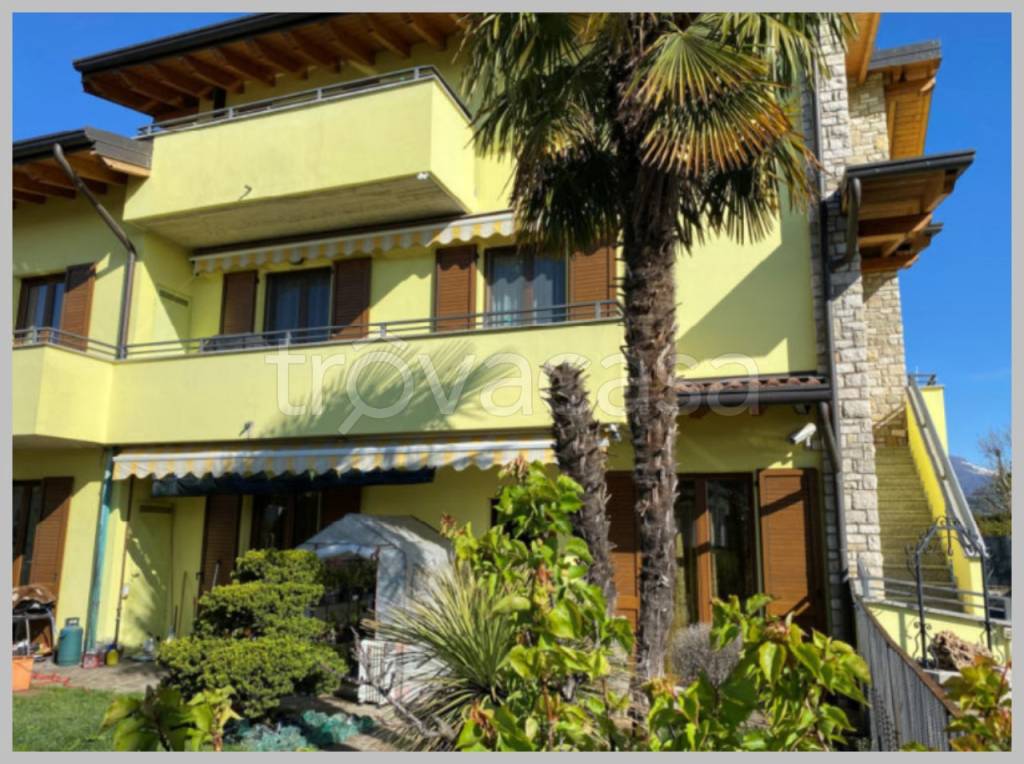 immagine annuncio 12 di 15