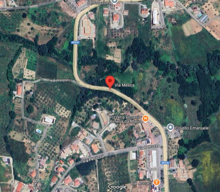 immagine annuncio 11 di 15