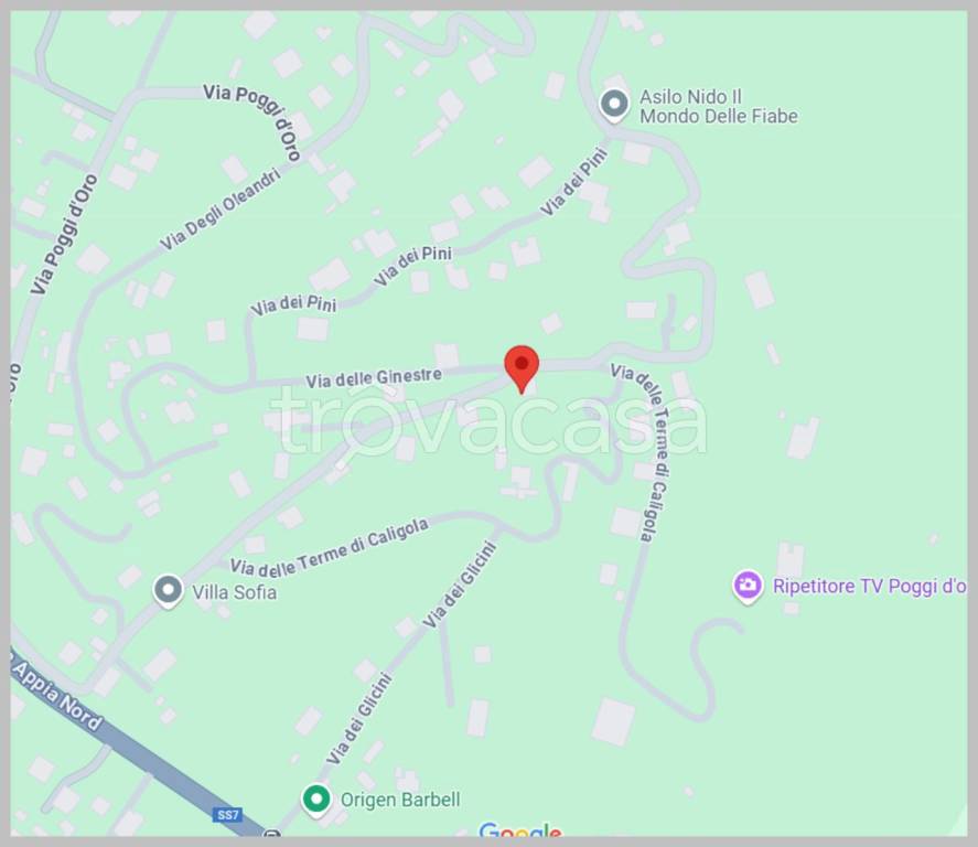 immagine annuncio 5 di 15