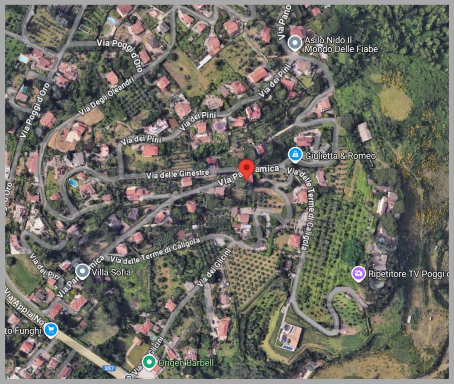 immagine annuncio 9 di 15