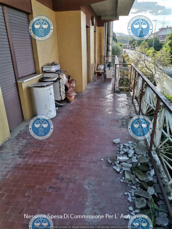 immagine annuncio 4 di 12