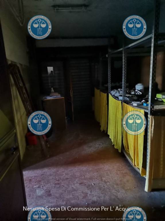 immagine annuncio 11 di 14